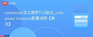 composer怎么禁用tls验证_composer insecure配置说明【测试】