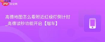 高德地图怎么看附近红绿灯倒计时_高德读秒功能开启【驾车】