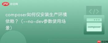 composer如何仅安装生产环境依赖？（--no-dev参数使用场景）