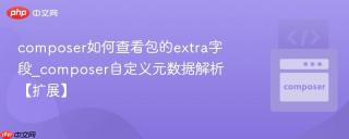 composer如何查看包的extra字段_composer自定义元数据解析【扩展】