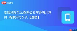 高德地图怎么查询公交车还有几站到_高德实时公交【通勤】