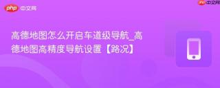 高德地图怎么开启车道级导航_高德地图高精度导航设置【路况】