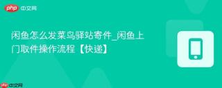 闲鱼怎么发菜鸟驿站寄件_闲鱼上门取件操作流程【快递】