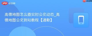 高德地图怎么查实时公交动态_高德地图公交到站教程【通勤】