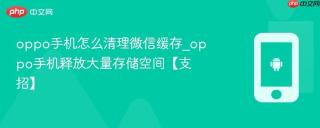 oppo手机怎么清理微信缓存_oppo手机释放大量存储空间【支招】