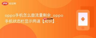 oppo手机怎么查流量剩余_oppo手机状态栏显示网速【知识】