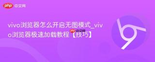vivo浏览器怎么开启无图模式_vivo浏览器极速加载教程【技巧】