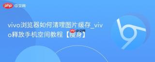 vivo浏览器如何清理图片缓存_vivo释放手机空间教程【瘦身】