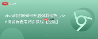 vivo浏览器如何开启强制缩放_vivo浏览器查看网页教程【经验】