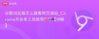 谷歌浏览器怎么查看网页源码_chrome开发者工具使用教程【详解】