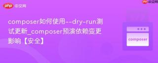 composer如何使用--dry-run测试更新_composer预演依赖变更影响【安全】