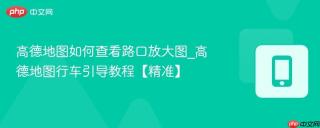 高德地图如何查看路口放大图_高德地图行车引导教程【精准】
