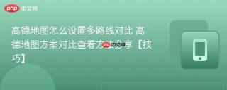 高德地图怎么设置多路线对比 高德地图方案对比查看方法分享【技巧】