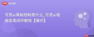 可灵ai尾帧控制是什么_可灵ai视频首尾闭环教程【循环】