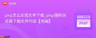 php怎么实现文件下载_php强制浏览器下载文件代码【传输】