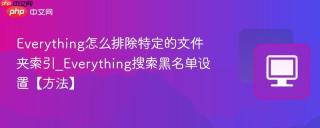 Everything怎么排除特定的文件夹索引_Everything搜索黑名单设置【方法】
