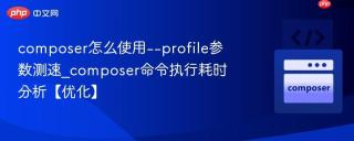 composer怎么使用--profile参数测速_composer命令执行耗时分析【优化】