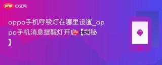 oppo手机呼吸灯在哪里设置_oppo手机消息提醒灯开启【揭秘】