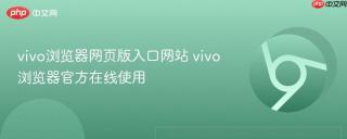vivo浏览器网页版入口网站 vivo浏览器官方在线使用