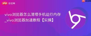 vivo浏览器怎么清理手机运行内存_vivo浏览器加速教程【实操】