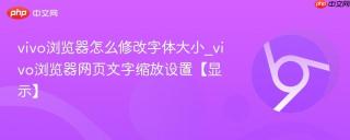 vivo浏览器怎么修改字体大小_vivo浏览器网页文字缩放设置【显示】
