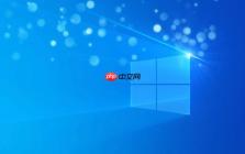 Win11怎么查看网络延迟 Ping Win11命令行检测网速技巧【技巧】