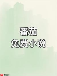 番茄小说网页版登录 番茄免费小说在线阅读入口