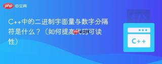 C++中的二进制字面量与数字分隔符是什么？（如何提高代码可读性）