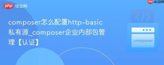 composer怎么配置http-basic私有源_composer企业内部包管理【认证】