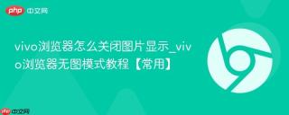 vivo浏览器怎么关闭图片显示_vivo浏览器无图模式教程【常用】
