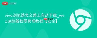 vivo浏览器怎么禁止自动下载_vivo浏览器权限管理教程【安全】