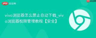 vivo浏览器怎么禁止自动下载_vivo浏览器权限管理教程【安全】