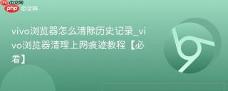 vivo浏览器怎么清除历史记录_vivo浏览器清理上网痕迹教程【必看】