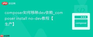 composer如何移除dev依赖_composer install no-dev教程【生产】