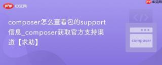 composer怎么查看包的support信息_composer获取官方支持渠道【求助】