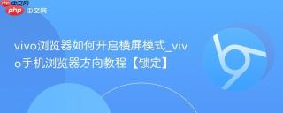 vivo浏览器如何开启横屏模式_vivo手机浏览器方向教程【锁定】