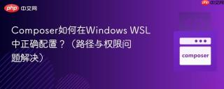 composer如何在windows wsl中正确配置?(路径与权限问题解决)