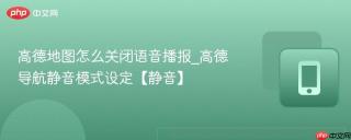 高德地图怎么关闭语音播报_高德导航静音模式设定【静音】
