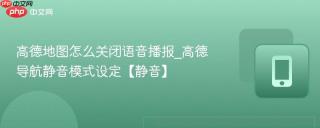 高德地图怎么关闭语音播报_高德导航静音模式设定【静音】