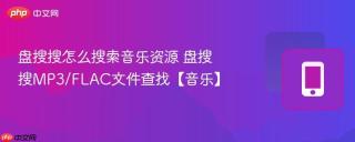盘搜搜怎么搜索音乐资源 盘搜搜MP3/FLAC文件查找【音乐】