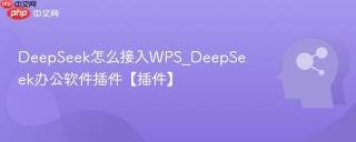 DeepSeek怎么接入WPS_DeepSeek办公软件插件【插件】