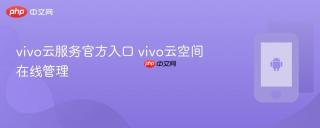 vivo云服务官方入口 vivo云空间在线管理