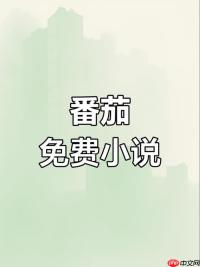番茄小说在线阅读地址 番茄免费小说网页版登录页