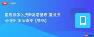 盘搜搜怎么搜索高清壁纸 盘搜搜4K图片资源查找【壁纸】