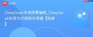 DeepSeek本地部署编程_DeepSeek私有化代码助手搭建【独家】