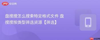 盘搜搜怎么搜索特定格式文件 盘搜搜按类型筛选资源【筛选】