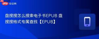 盘搜搜怎么搜索电子书EPUB 盘搜搜格式专属查找【EPUB】