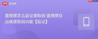盘搜搜怎么验证提取码 盘搜搜自动填提取码功能【验证】