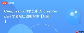 DeepSeek API怎么申请_DeepSeek开发者接口调用指南【配置】