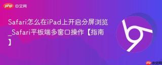 Safari怎么在iPad上开启分屏浏览_Safari平板端多窗口操作【指南】